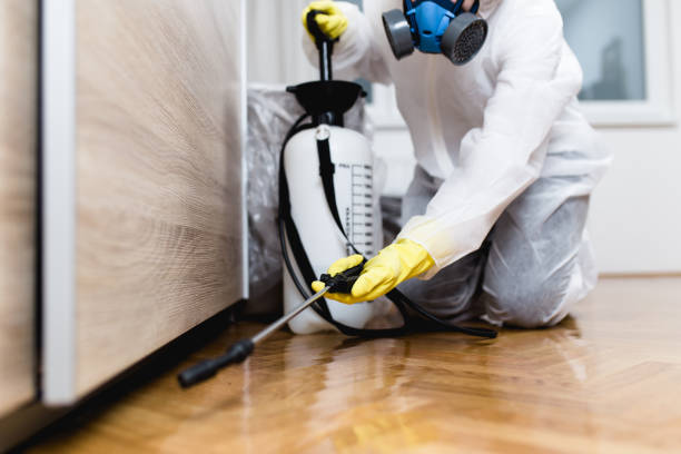Professional Pest Control in Rockville, CT