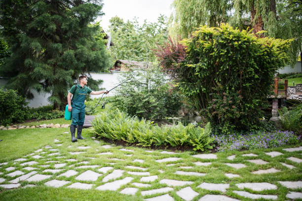 Trusted Rockville, CT Pest Control Experts