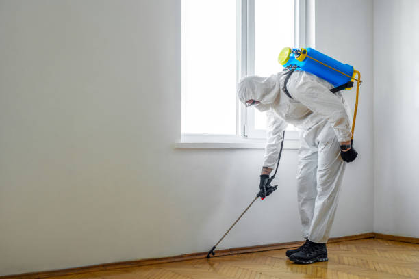 Best Pest Control for Businesses  in Rockville, CT