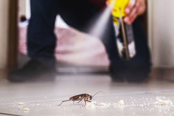 Pest Prevention Services in Rockville, CT