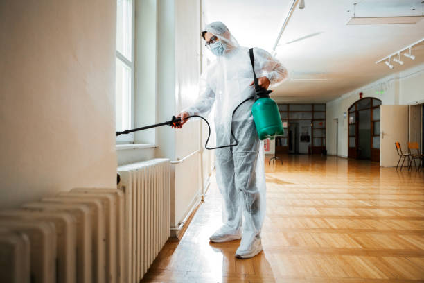 Best Mosquito Control Services  in Rockville, CT